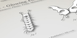 Glowing Pahfinder Bugs image